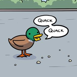 Ducky 🦆🦈